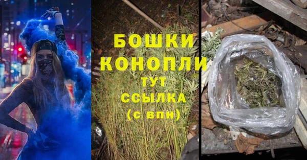 прущие грибы Протвино