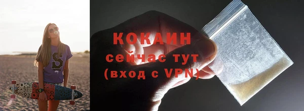 гидропоника Дмитриев