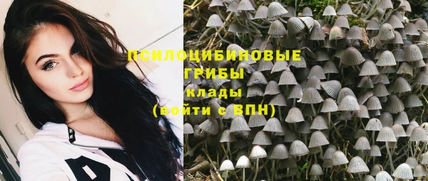 тгк Приозерск
