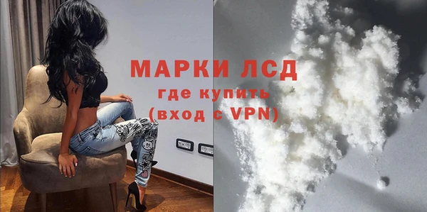 сатива Заволжье
