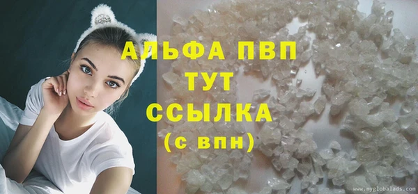 сатива Заволжье