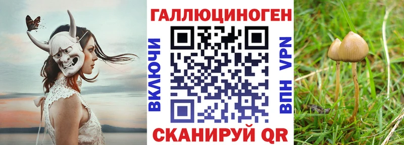 Галлюциногенные грибы прущие грибы Бугуруслан